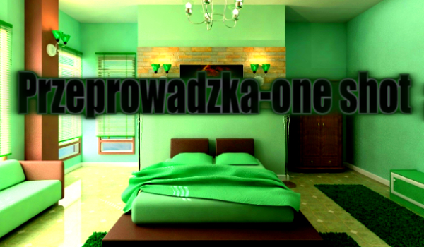 Przeprowadzka-one shot