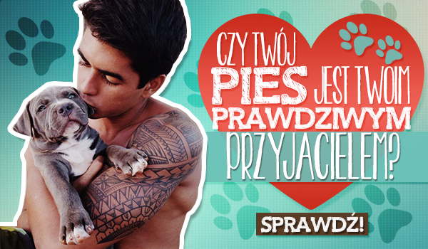 Czy Twój pies jest prawdziwym przyjacielem?