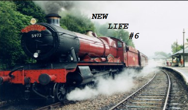 New life #6