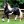Mrhorse