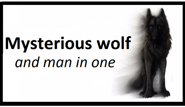 Mysterious wolf and man in one #2