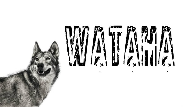 Wataha – 1