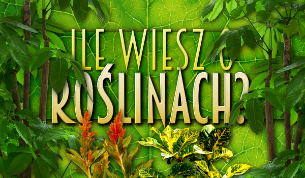 Ile wiesz o roślinach?