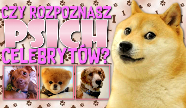 Czy rozpoznasz psich celebrytów?