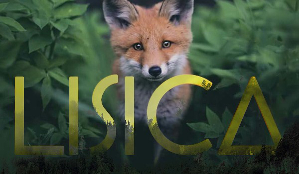 Lisica-Ciemność #2