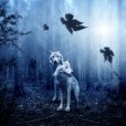 Zosia_Lipinska