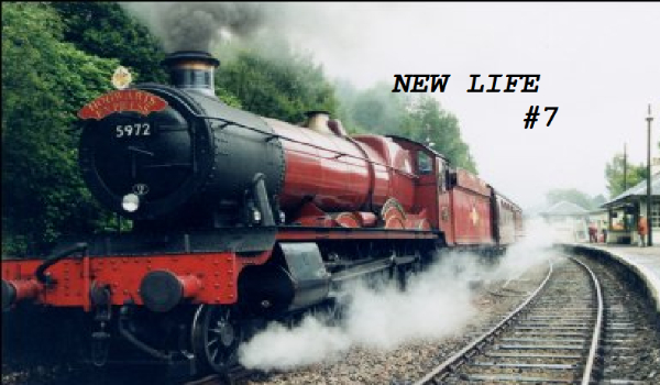 new life #7