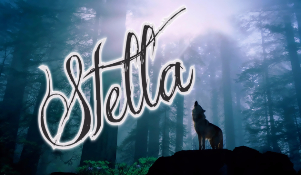 Stella #3