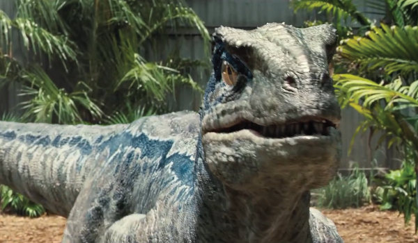 Dinozaury: Welociraptor