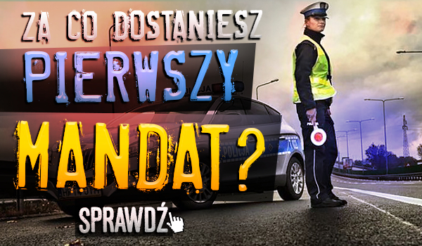 Za co dostaniesz swój pierwszy mandat?