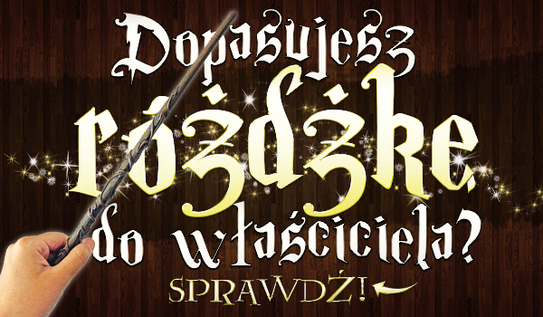 Dopasujesz różdżkę do właściciela?