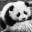 Slodkapanda01