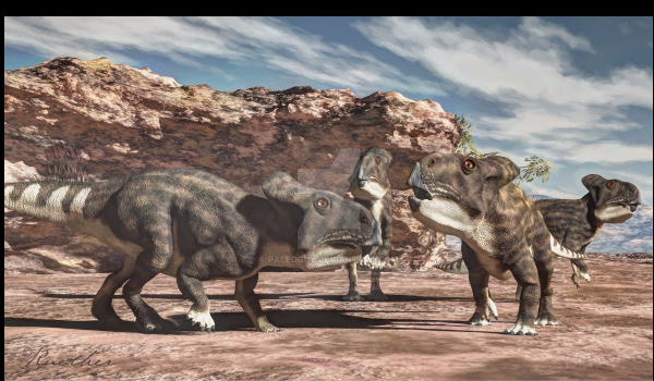 Dinozaury i inne prehistoryczne zwierzęta część trzecia -Protoceratops