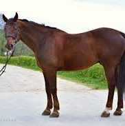 StabeSpiritStajniaWieniawa