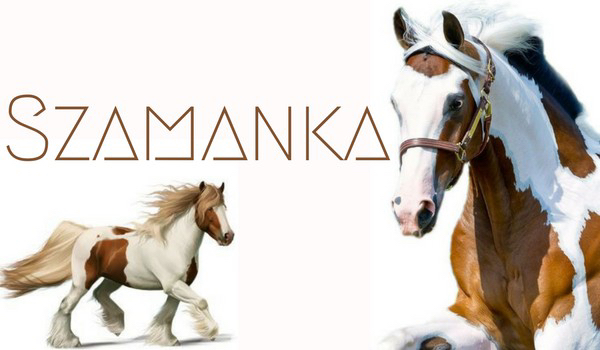#6 Szamanka