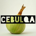 Cebulqa