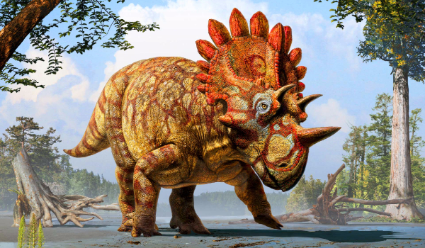 Dinozaury i inne prehistoryczne zwierzęta część pierwsza  -Regaliceratops