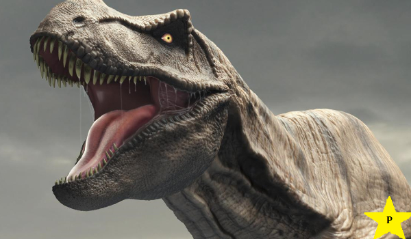 Dinozaury i inne prehistoryczne zwierzęta część jedenasta – T-rex