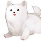 MysteryPL