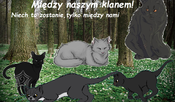 Między naszym klanem! #7