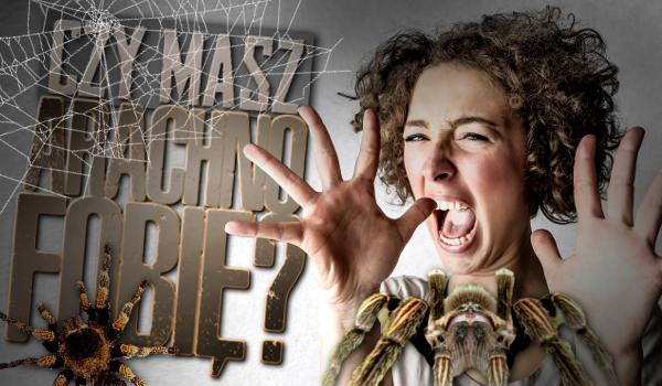 Czy masz arachnofobię?