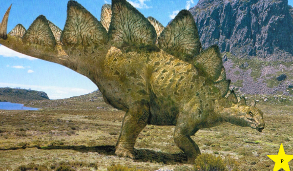 Dinozaury i inne prehistoryczne zwierzęta część szósta – Stegozaur