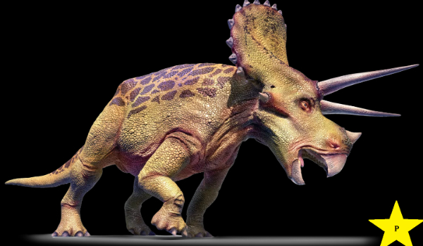 Dinozaury i inne prehistoryczne zwierzęta część piąta -Triceratops