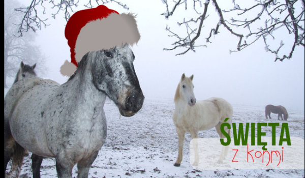 Super obrazki świąteczne z udziałem koni