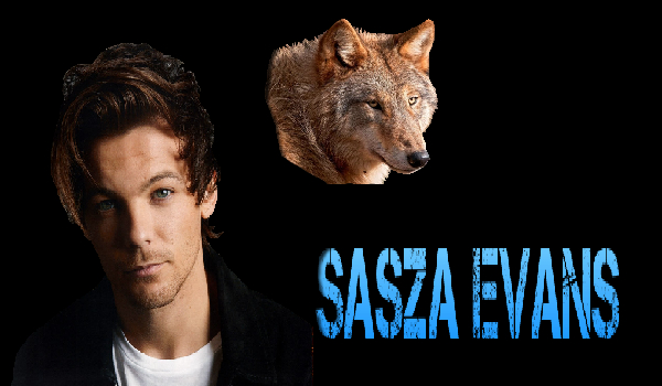 One life, One direction #2