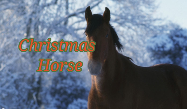 Christmas Horse- One Shot