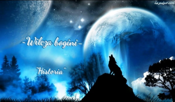 ~Wilcza bogini~”Historia”