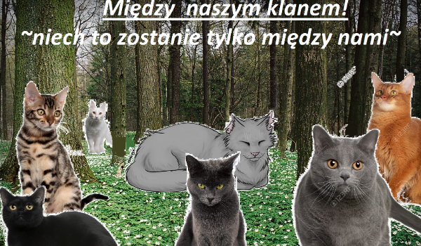 Między naszym klanem! #10