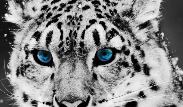 Wyginięcie #4 – Odlot