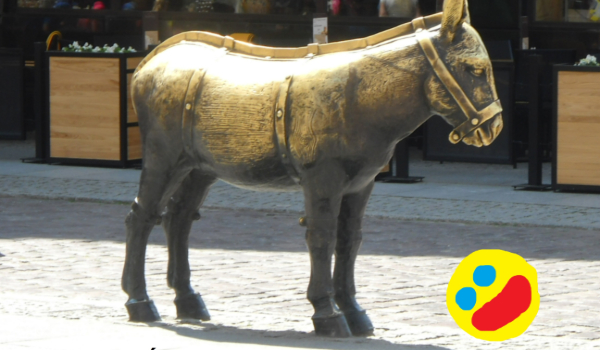 CZY JESTEŚ OSŁEM Z CHEMII