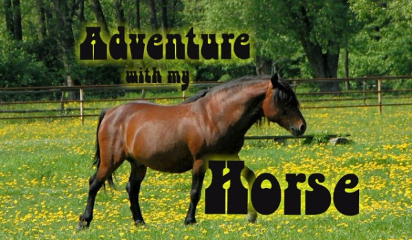 Adventure with my horse #2