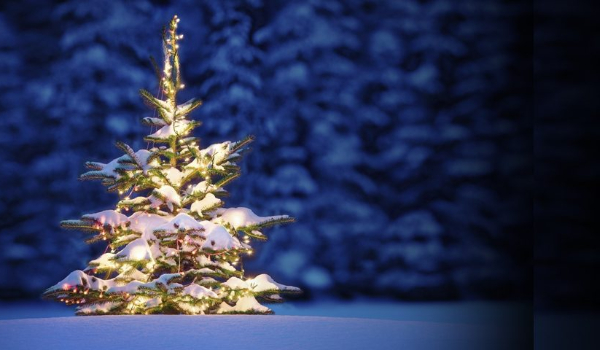 Z kim spędzisz święta 2017/2018