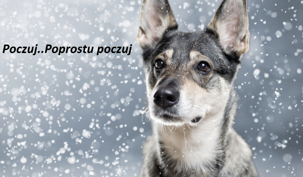 Poczuj..Po prostu poczuj