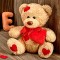 loveteddy