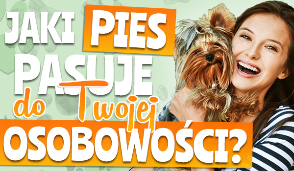 Jaki pies pasuje do Twojej osobowości?