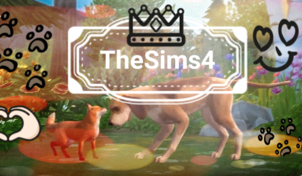 Dla prawdziwych Simomaniaków