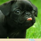 Martyna_Kotarska2OliMysz