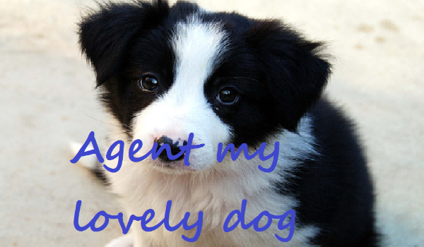 Agent-my lovely dog OS