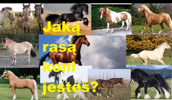 Jaką rasą koni jesteś?