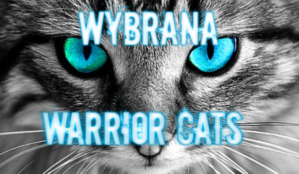 Wybrana-Warrior Cats-Rozdział IV