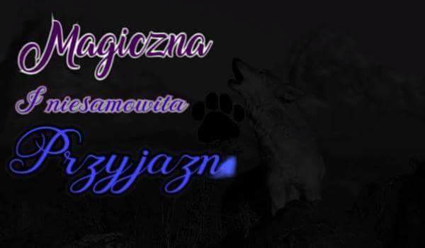 ,, Magiczna i niesamowita przyjaźń ” #2