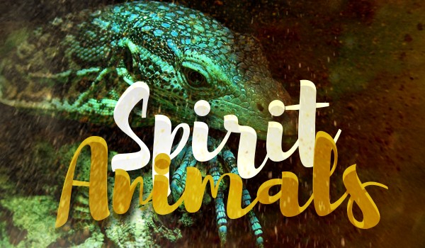 Spirit Animals #4 Dzika pustynia