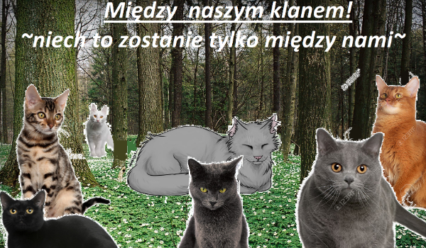 Między naszym klanem! #12
