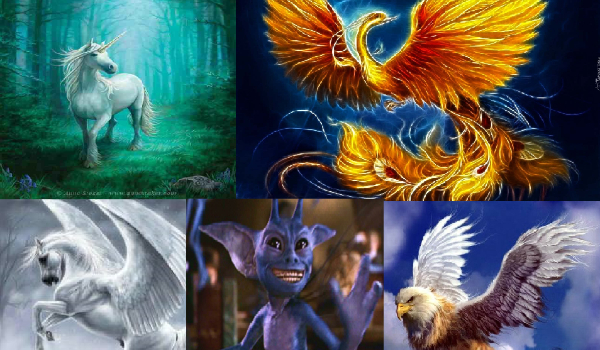 Jakie magiczne zwierzę mógłbyś mieć?