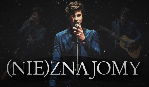 (Nie)znajomy ~1~ [Shawn Mendes]
