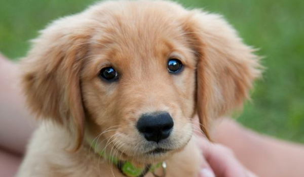 jaką jesteś kolędą